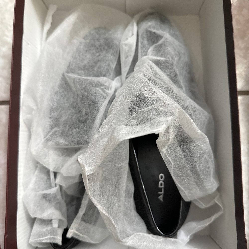 Aldo shoes (authentic)